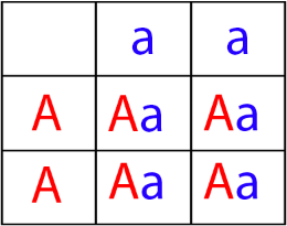 image.png.2cd7313e804109c6ad4e7f5584b5e173.png