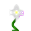 1399265714_.webp.883fa49ebc3cc024f17d903d6e871249.webp