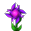 183166231_.webp.709b91b452f4275497632ab09cad7e47.webp
