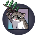 13.png