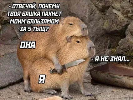 image.png.7b316f88280148f7dc3a6374a4072ca7.png