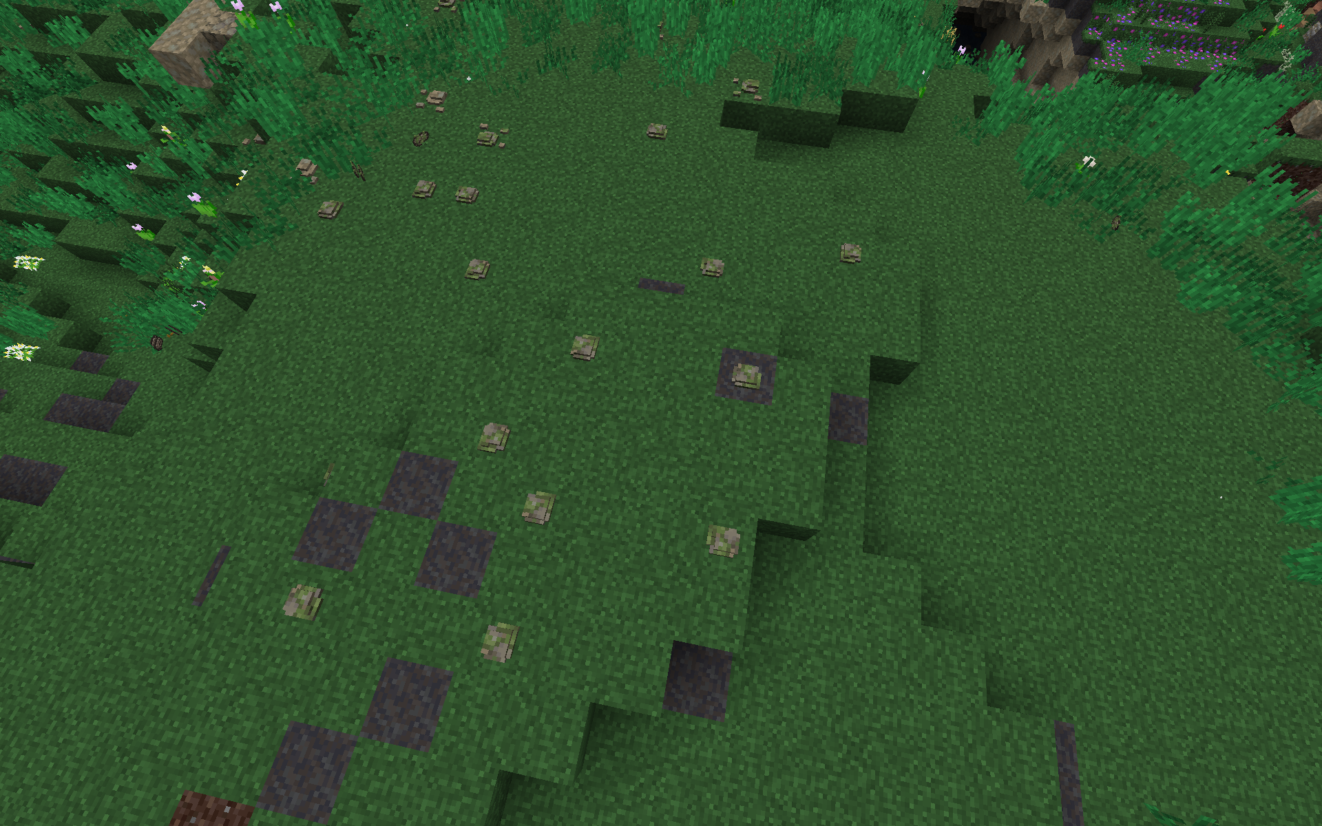 2026-01-10_16_51_37.png.064ad6f38fe018794dd53bf6223b708f.png